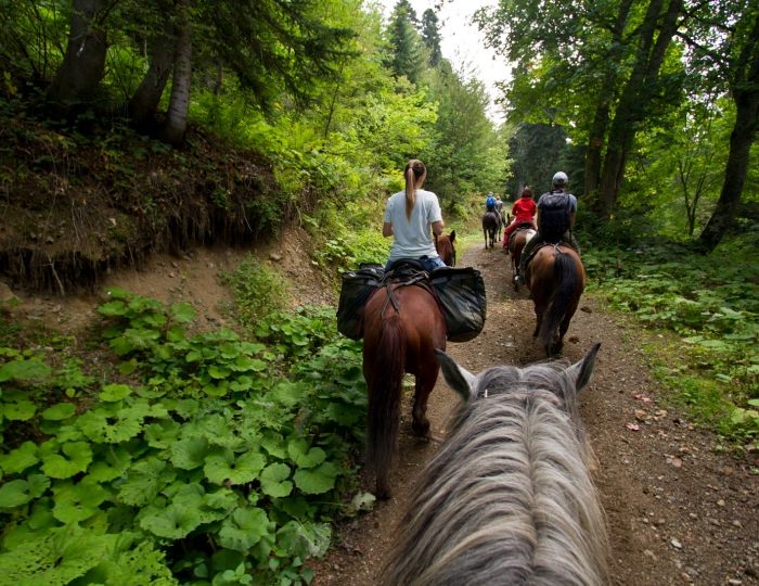 Летние развлечения на территории курорта Красная Поляна (ex. Горки Город) - Апартаменты Курорта Красная Поляна (бывш. «Горки Город»)
